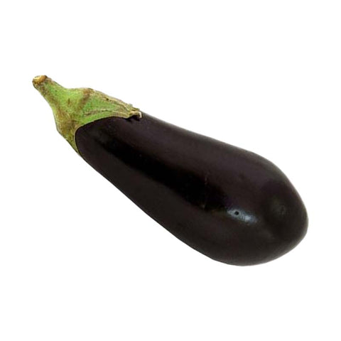 Aubergine/Eggplant Medium (pack of 2) - Red Rickshaw