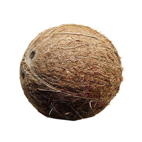 Coconut (Single) - Zingox Foods UK