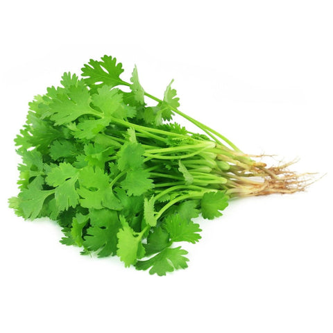 Coriander - Bunch