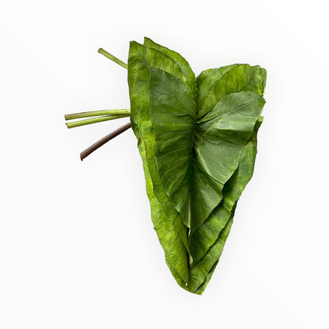Patra/Colocasia leaves (1 Bunch) - Zingox Foods UK