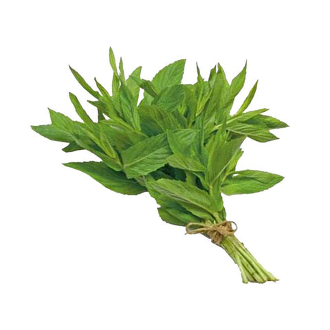 Fresh Mint 1 Bunch