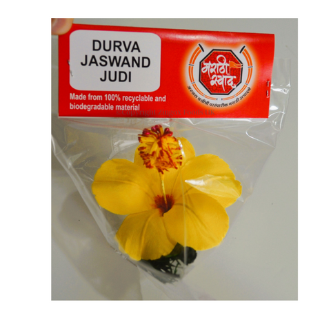 Durva Jaswand Judi