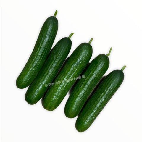 Baby Cucumber 500g - Zingox Foods UK