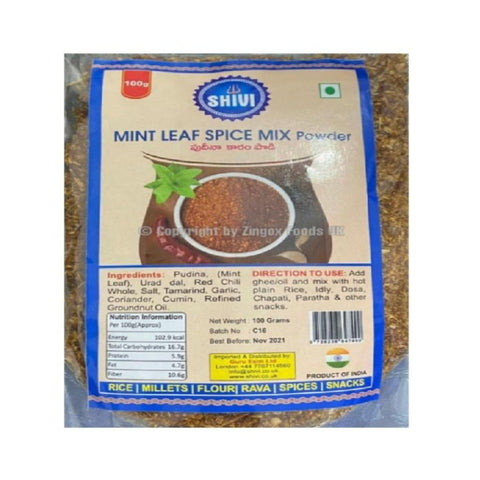 Shivi Mint Leaf Spice Mix Powder 100g