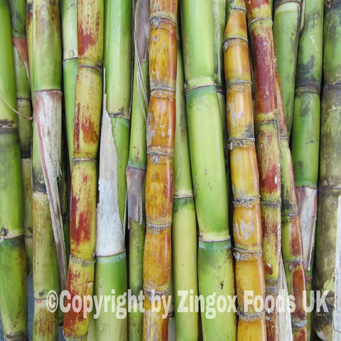 Sugar Cane 1pc 2 feet - Zingox Foods UK